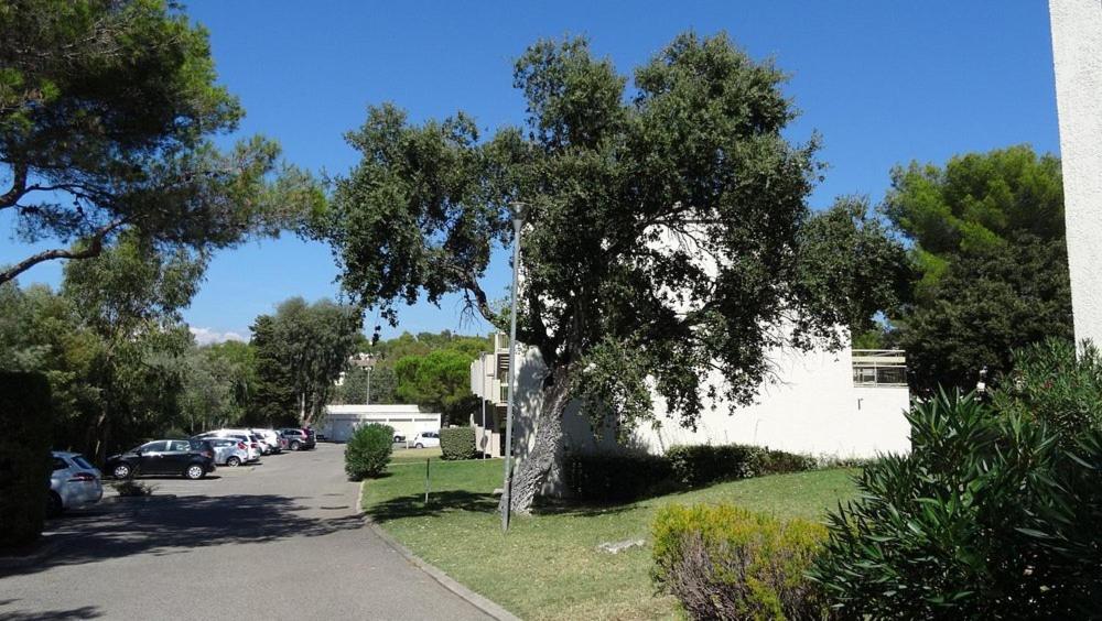 Residence Pierre Et Vacances De La Corniche D'Or Saint-Raphaël 외부 사진